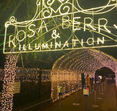 イルミネーションイベントの画像。大文字で「ROSA&BERRY ILLUMINATION」と書かれた黄色いネオンの看板の奥に、ピンク色を基調としたイルミネーションのトンネルが続いている。